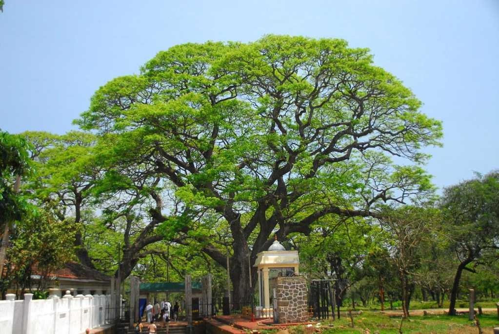 Lucky Holiday Home Anuradhapura Exterior photo